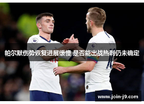 帕尔默伤势恢复进展缓慢 是否能出战热刺仍未确定 帕尔默伤势恢复进展缓慢 是否能出战热刺仍未确定