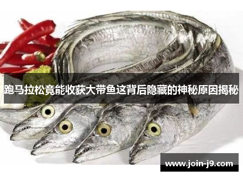 跑马拉松竟能收获大带鱼这背后隐藏的神秘原因揭秘 跑马拉松竟能收获大带鱼这背后隐藏的神秘原因揭秘