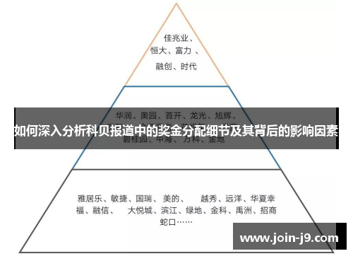 如何深入分析科贝报道中的奖金分配细节及其背后的影响因素