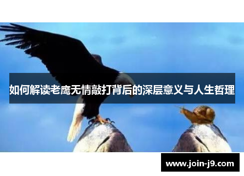 如何解读老鹰无情敲打背后的深层意义与人生哲理