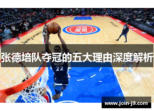 张德培队夺冠的五大理由深度解析